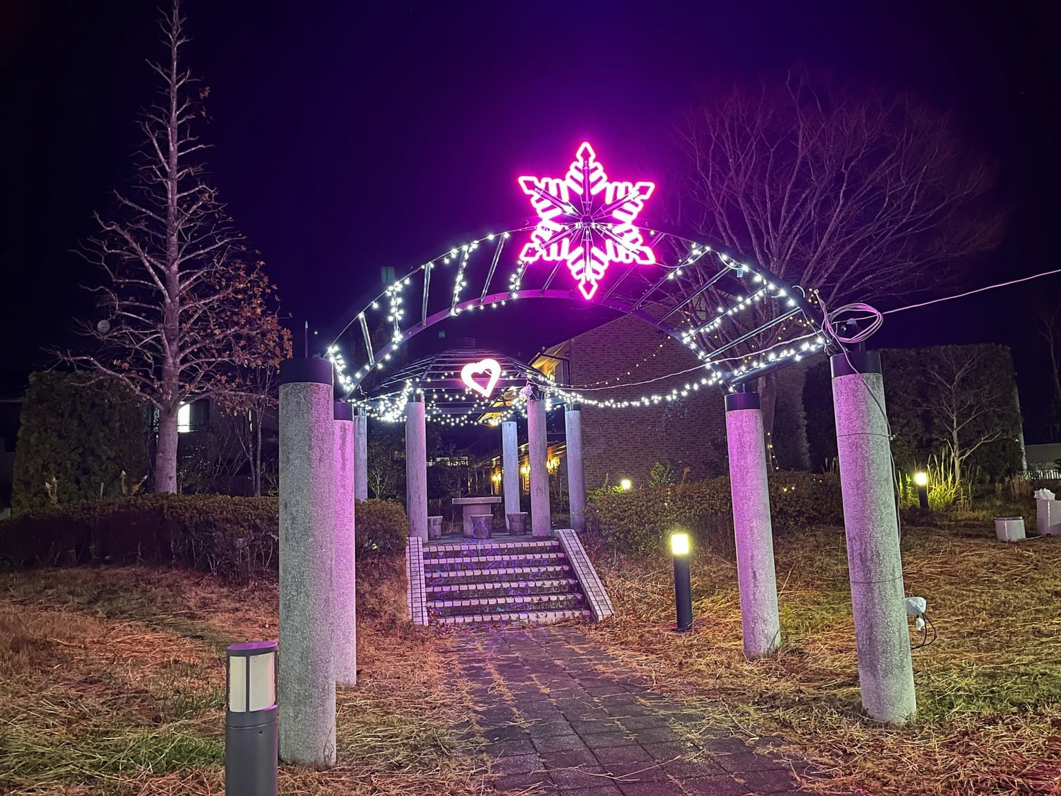 メタセコイアの奇跡!光り輝け槻木駅2024