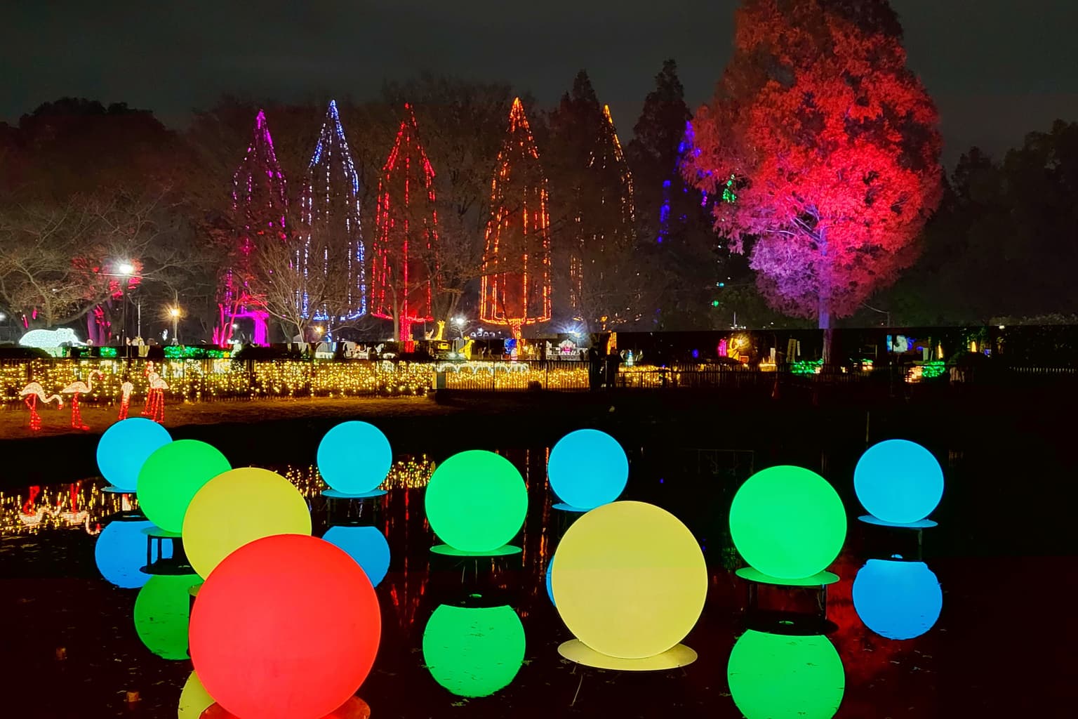 Festival of Light 2024