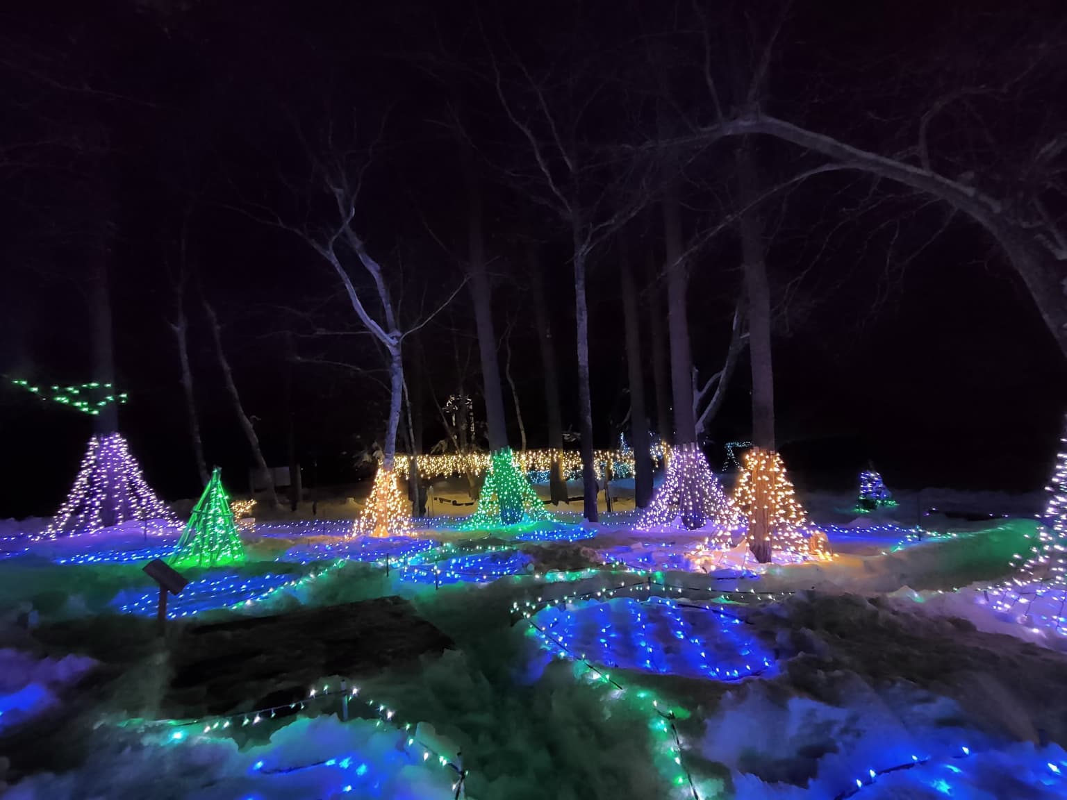 原村 星空のイルミネーション2024