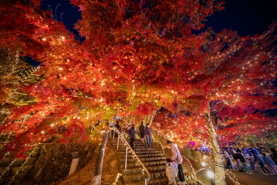 ウインターイルミネーション2024-2025 備北イルミ