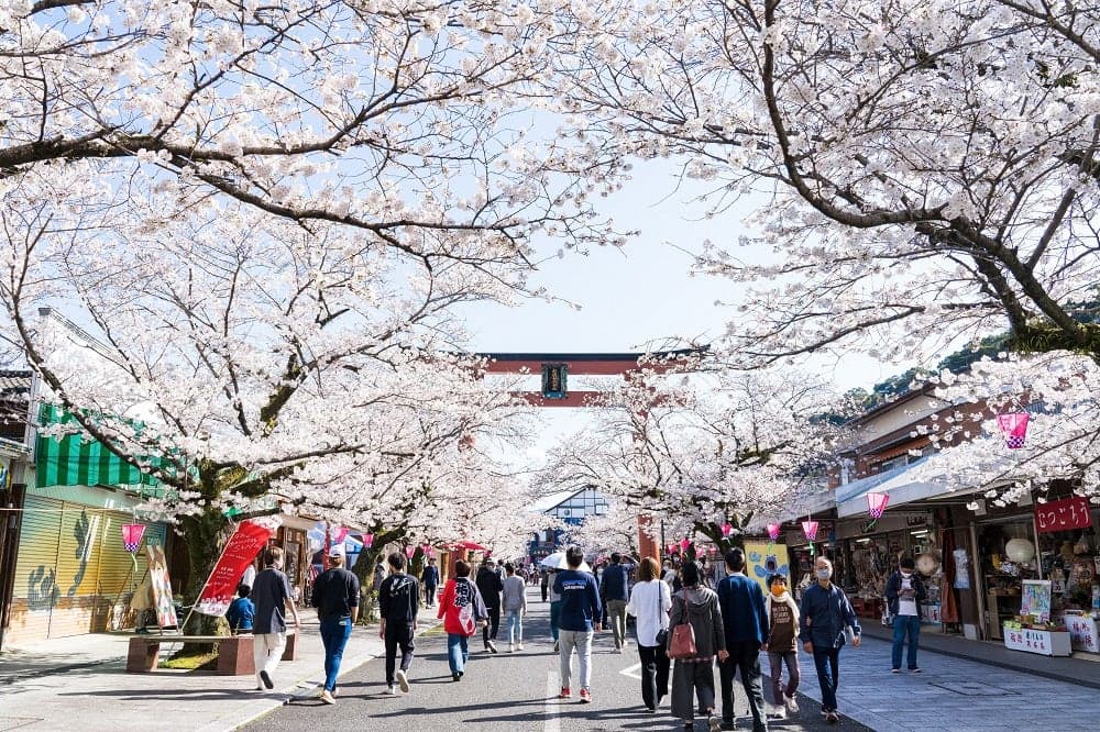 同時開催イベント 祐徳門前春まつり
