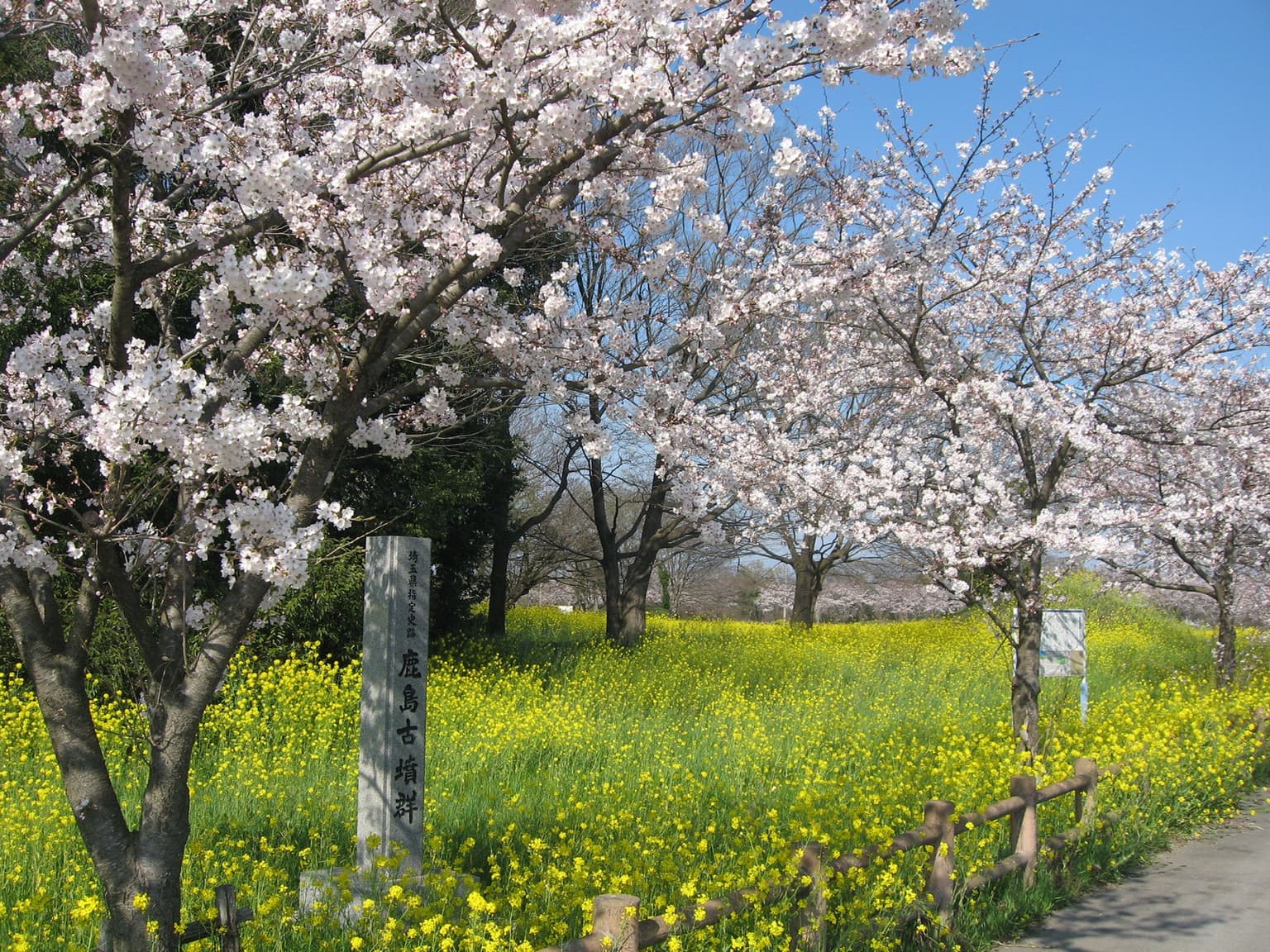 Kashima Burial Mounds