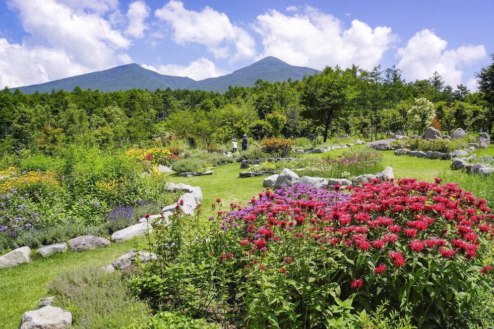 Observation rock garden
