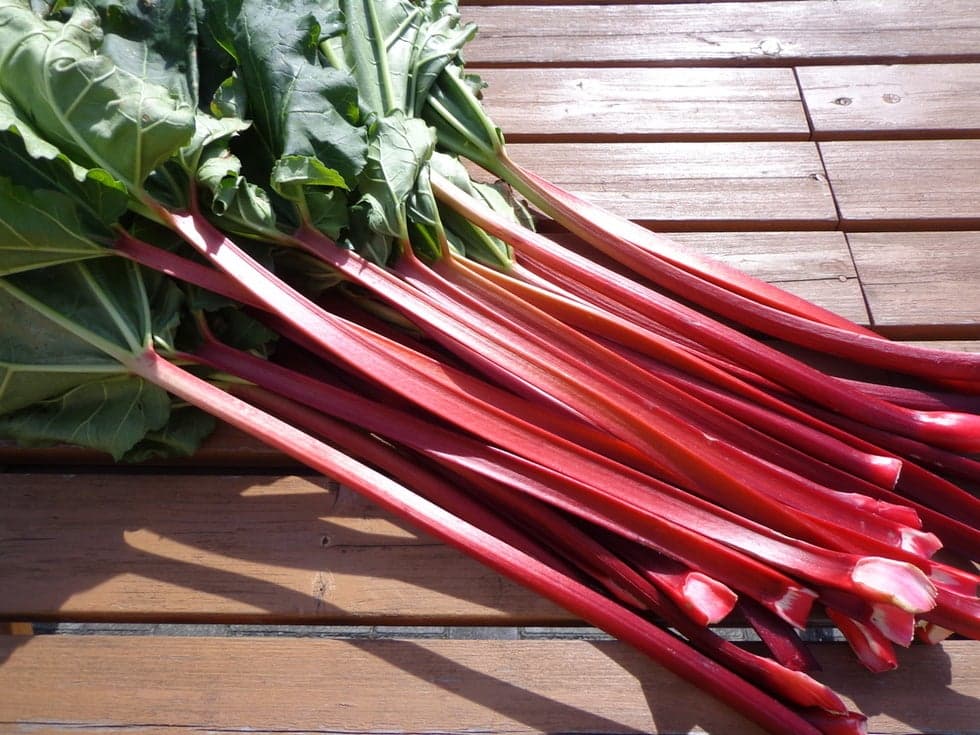 Red ruverb specially produced by Fujimi-cho