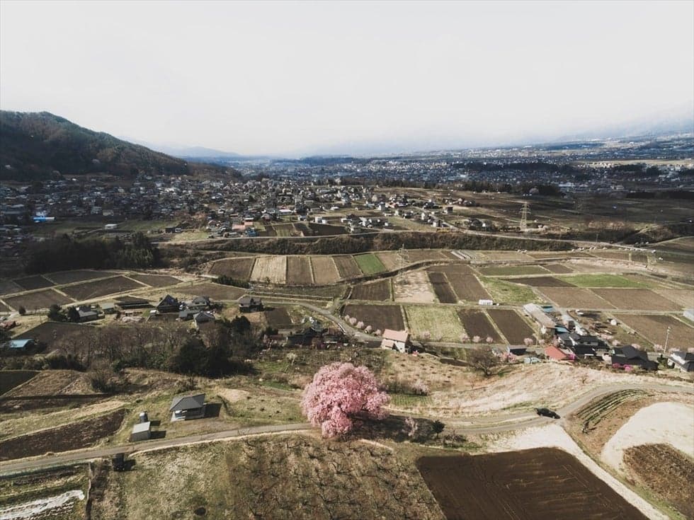 It was taken with a drone. Photo by PINTO.