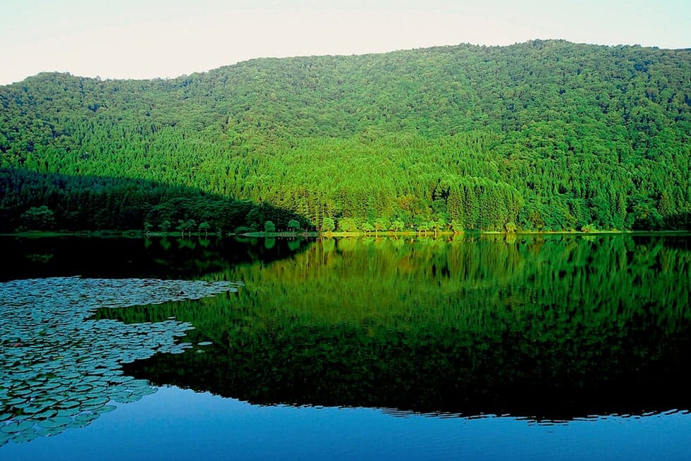??小菅の里 七星庵