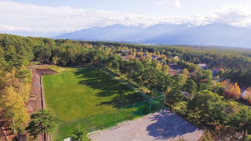 Natural grass ground