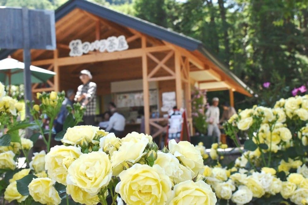 There is also a rose teahouse in the park, where you can enjoy tea slowly.