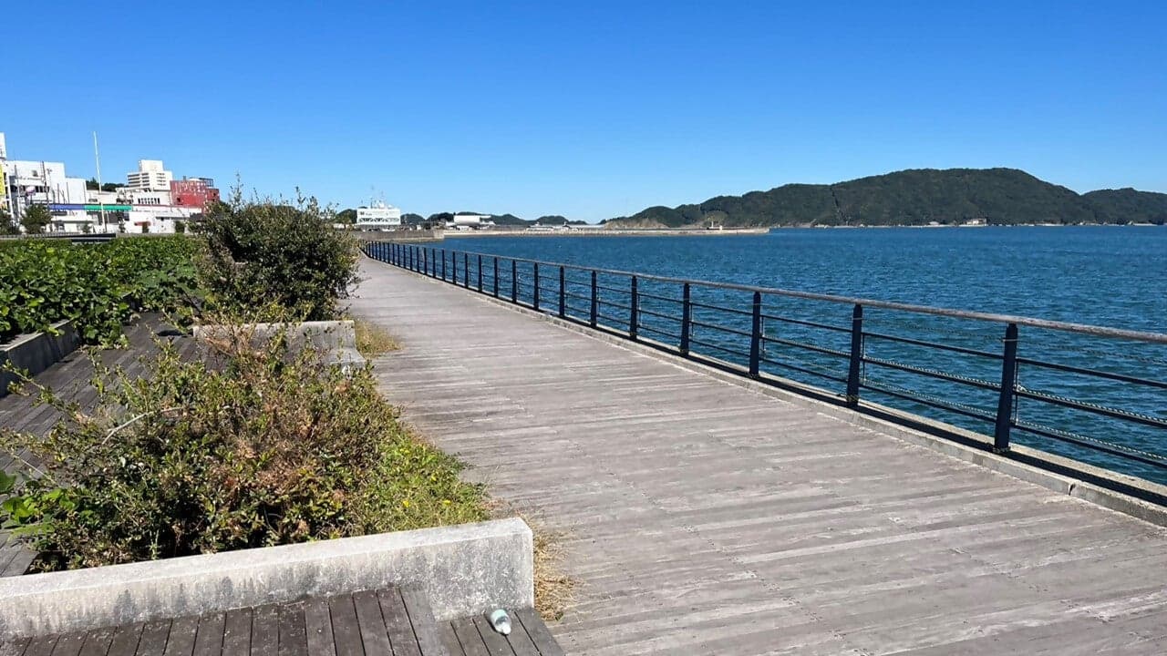 カモメの散歩道