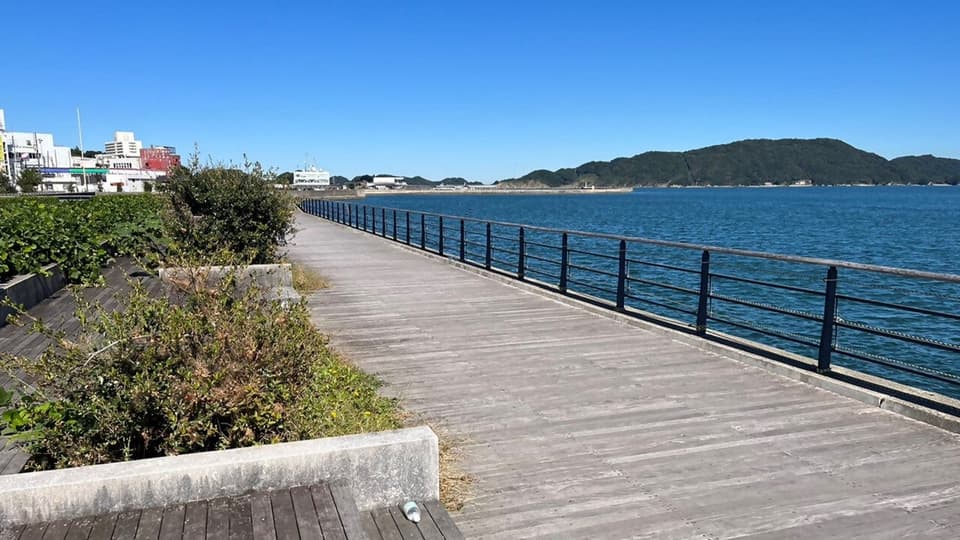 カモメの散歩道