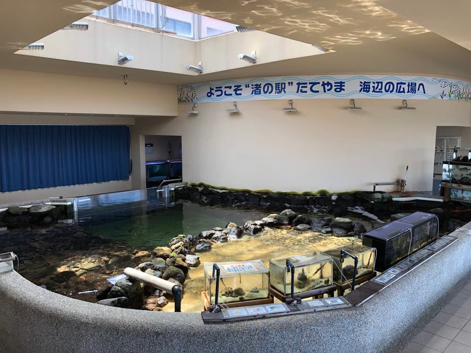 みなとオアシス“渚の駅”たてやま