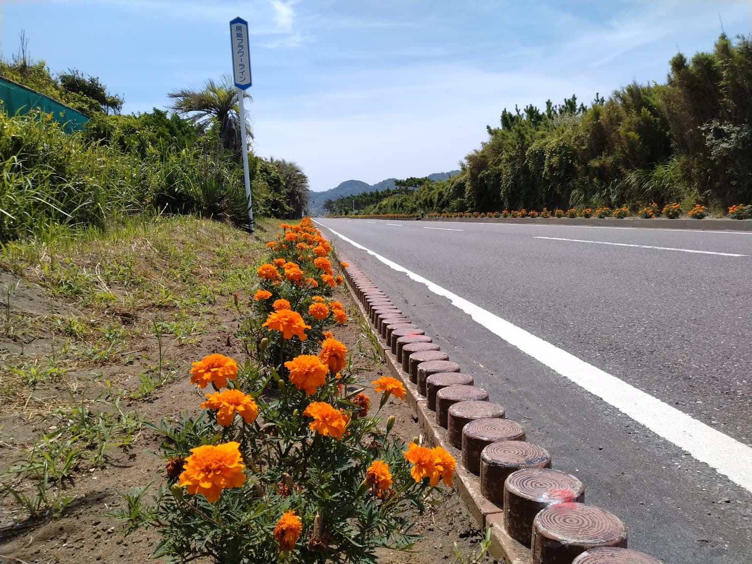 房総フラワーライン
