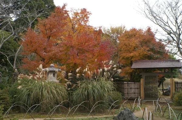 城山公園