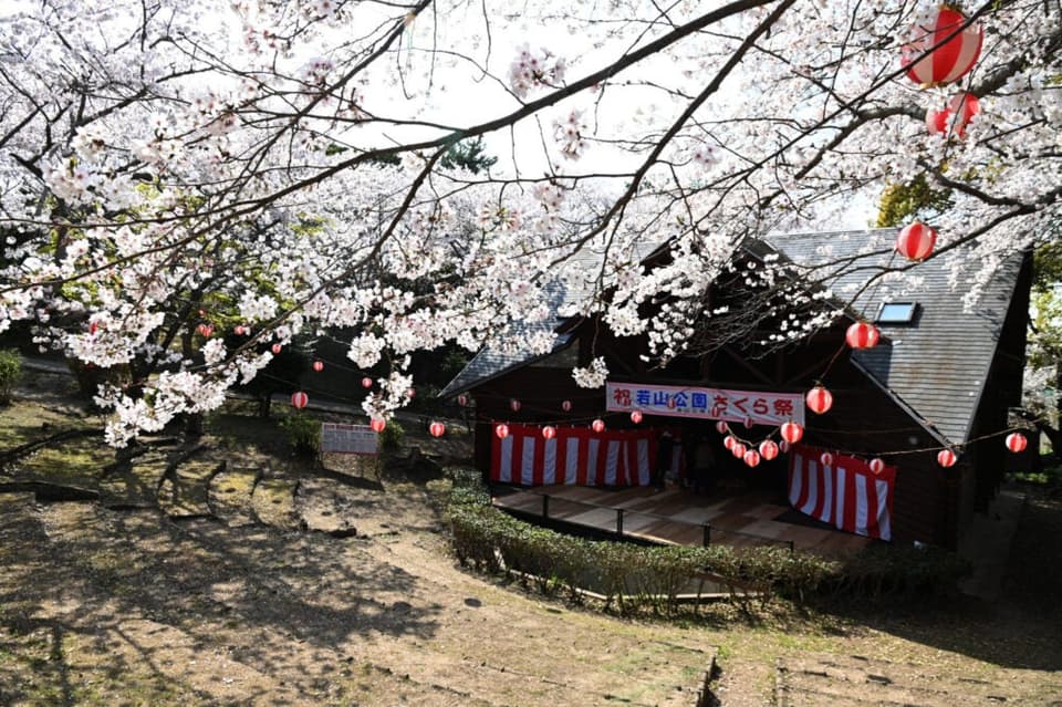 Wakayama Park Sakura Festival