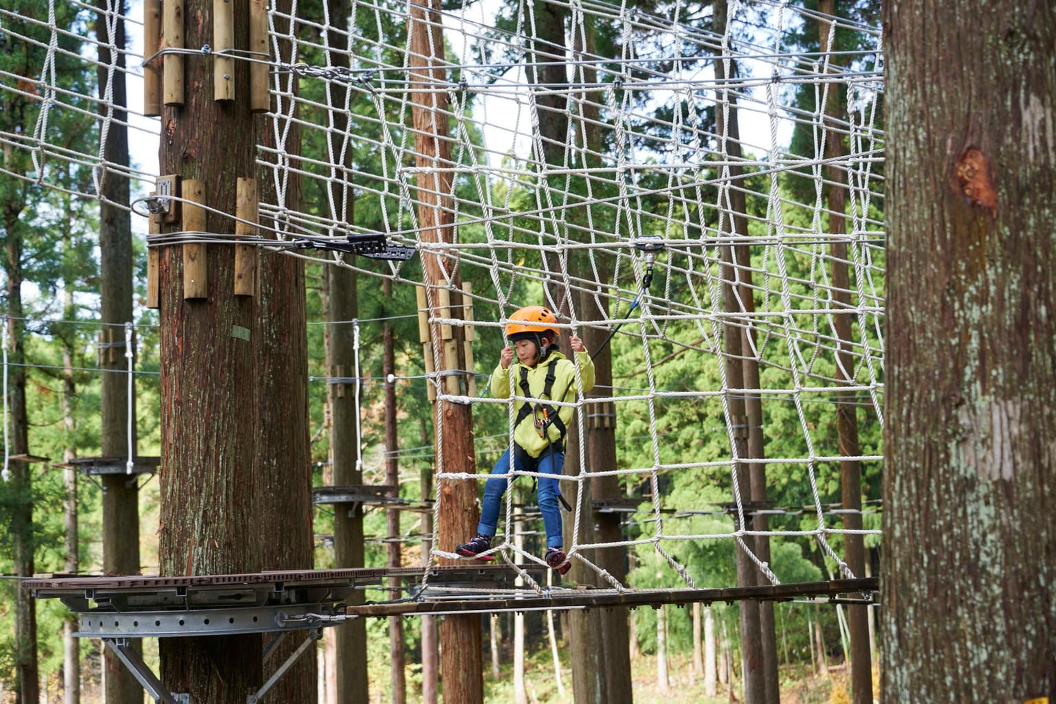アドベンチャーパーク キッズコース