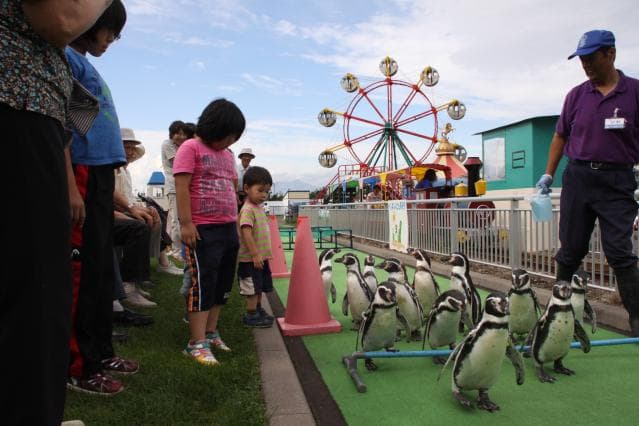 Muroran Mimpo-sha Everyone's Aquarium (Muroran Aquarium)