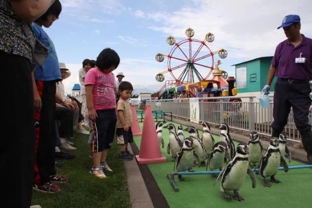 Muroran Mimpo-sha Aquarium for Everyone (Municipal Muroran Aquarium)