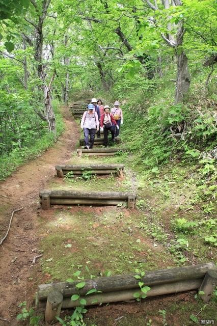 Earth Cape Walking Path
