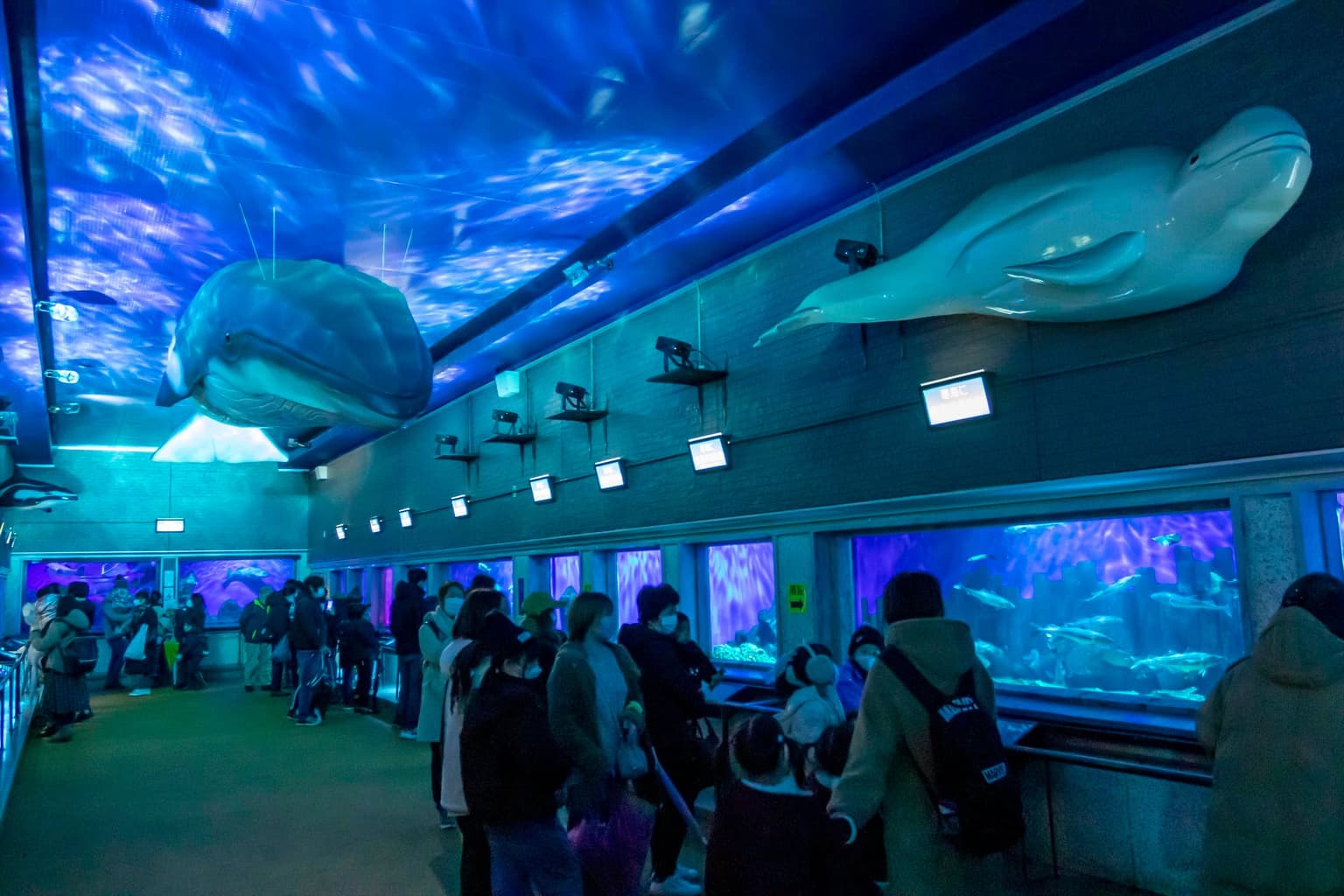 室蘭民報みんなの水族館(市立室蘭水族館)