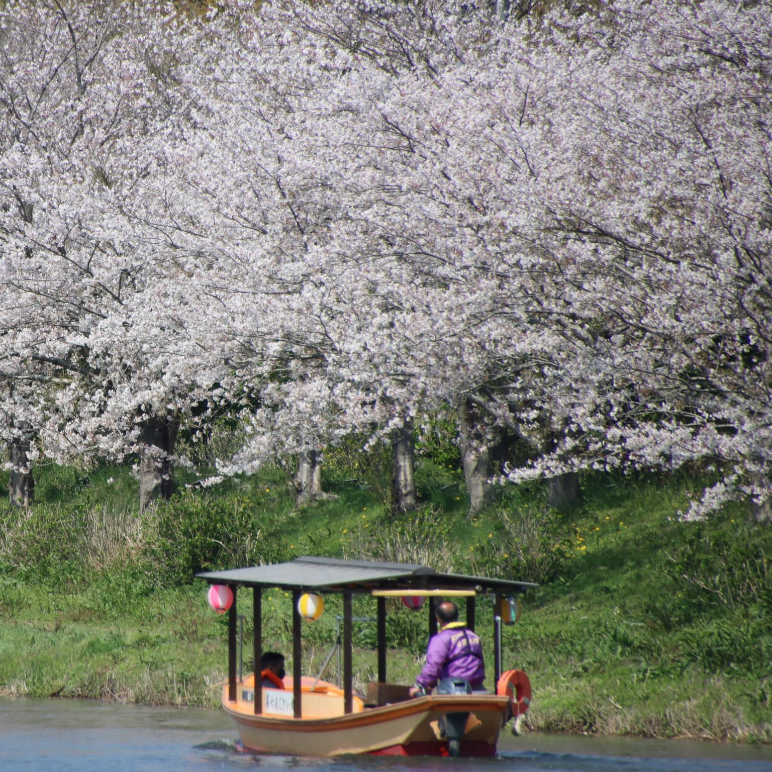 Sappa boat crossing the Kuriyama River
