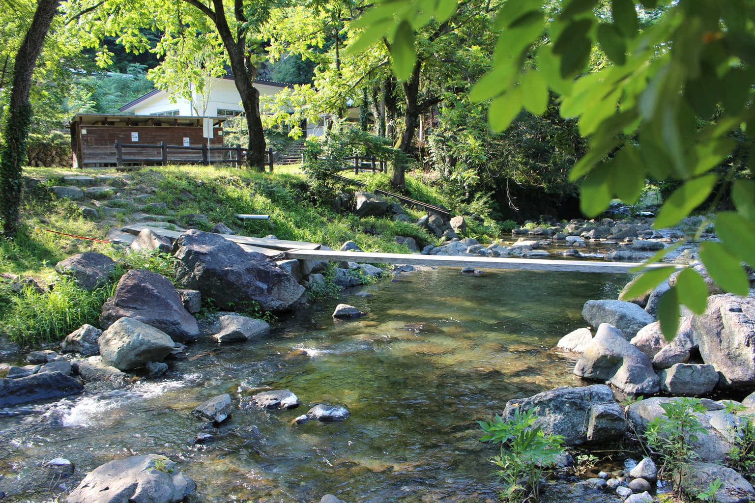 Clear stream in front of the park