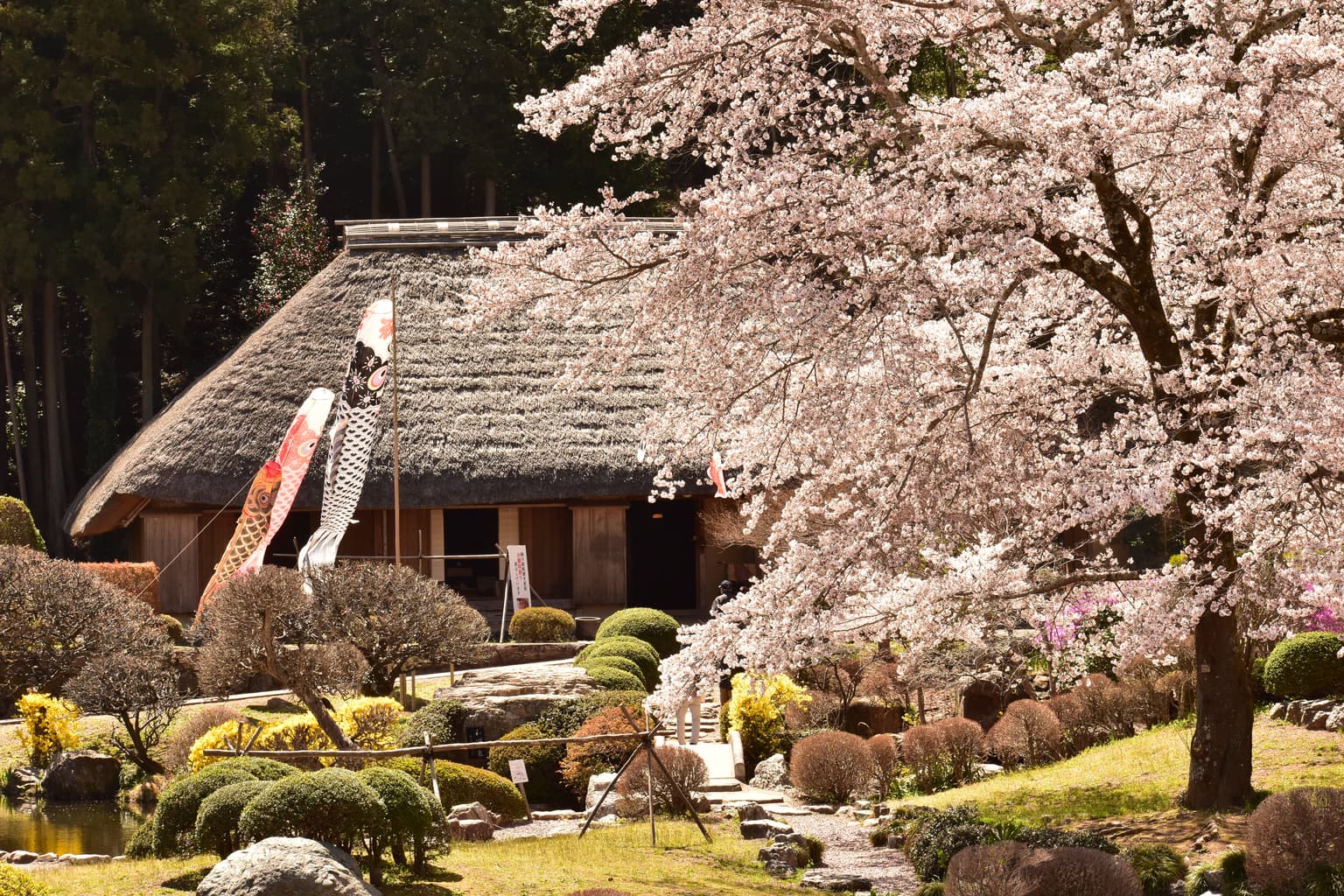 Old paper-making houses