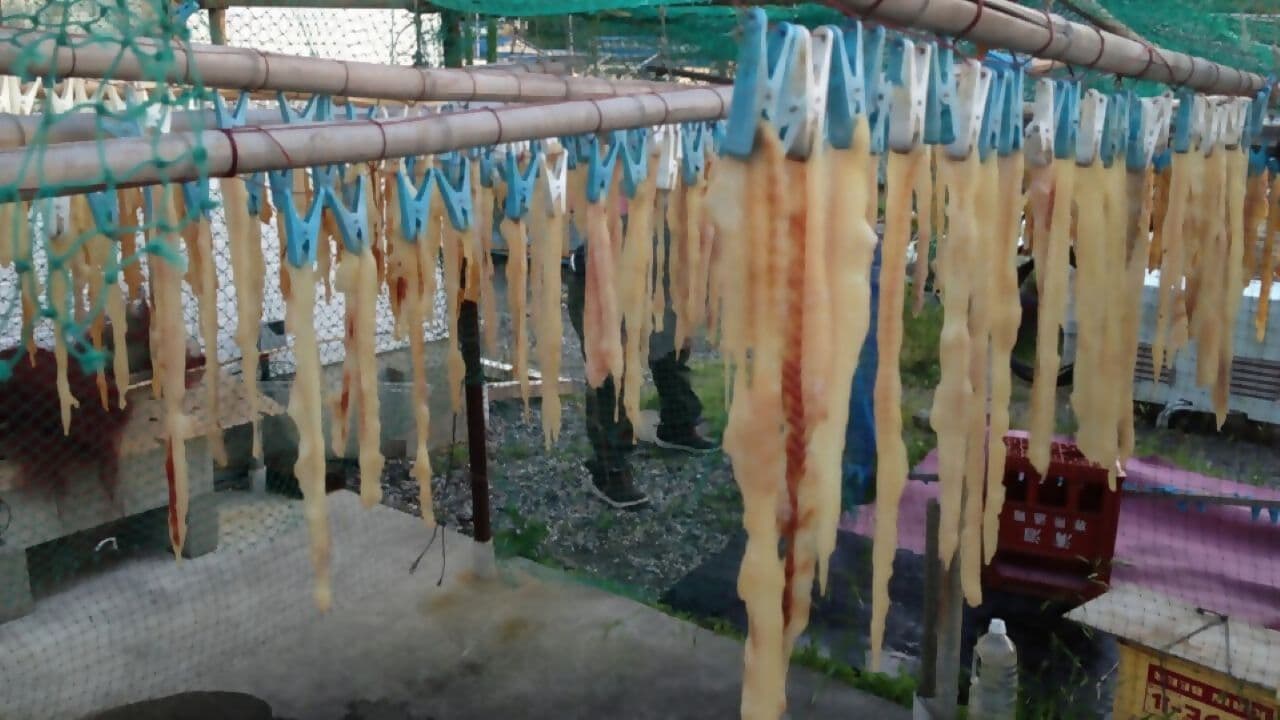 Where the shark sauce is dried