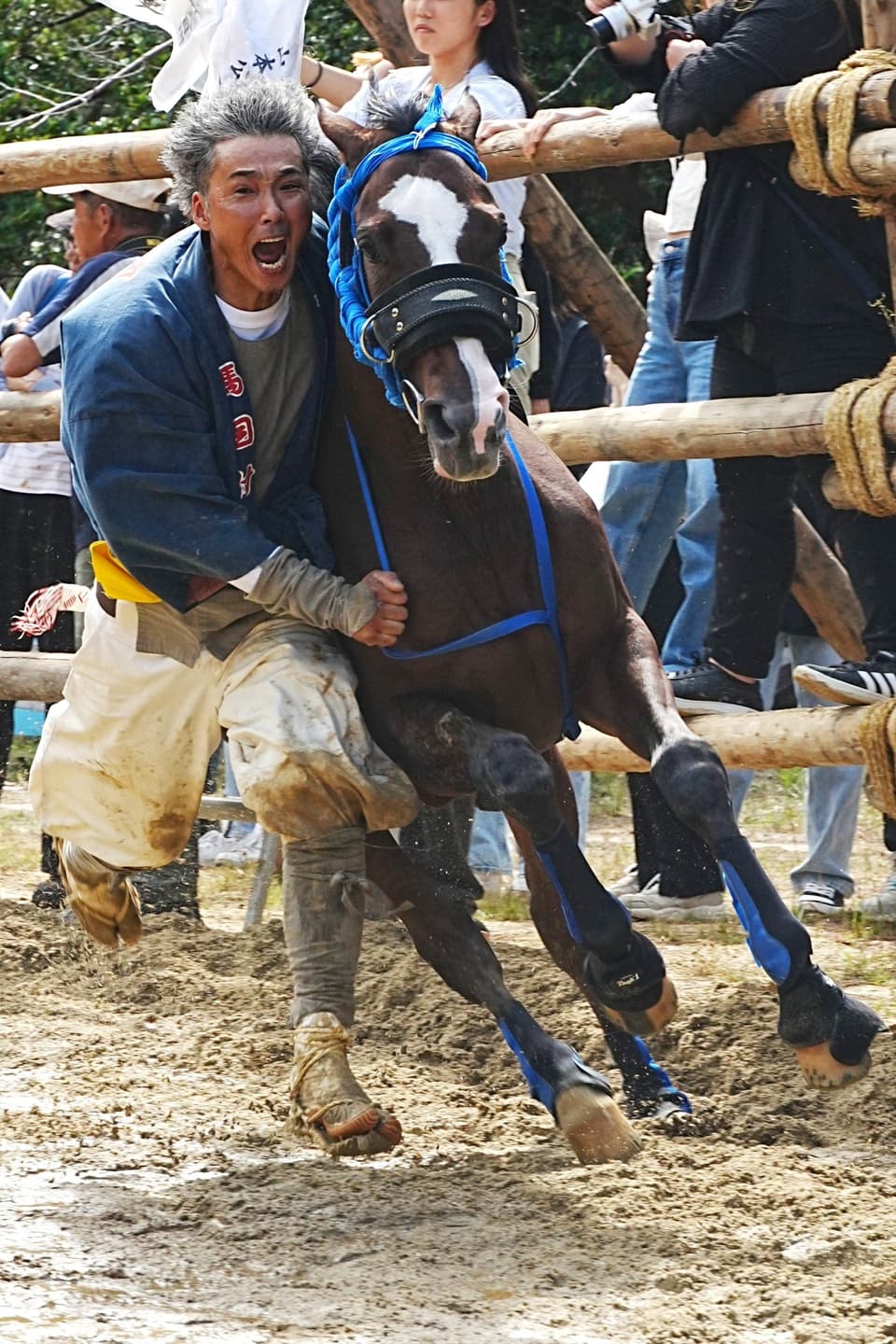 おまんと祭りおりゃー!