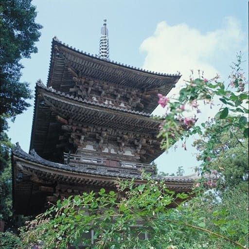 Three-storied pagoda of Kudara-ji Temple