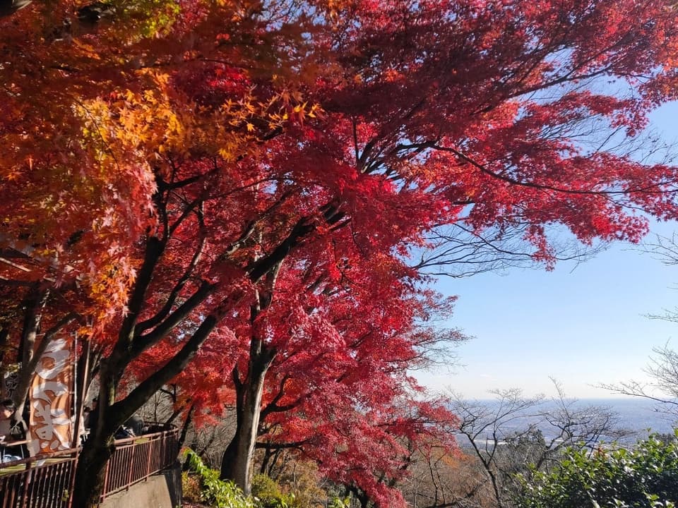 太平山県立自然公園謙信平の紅葉