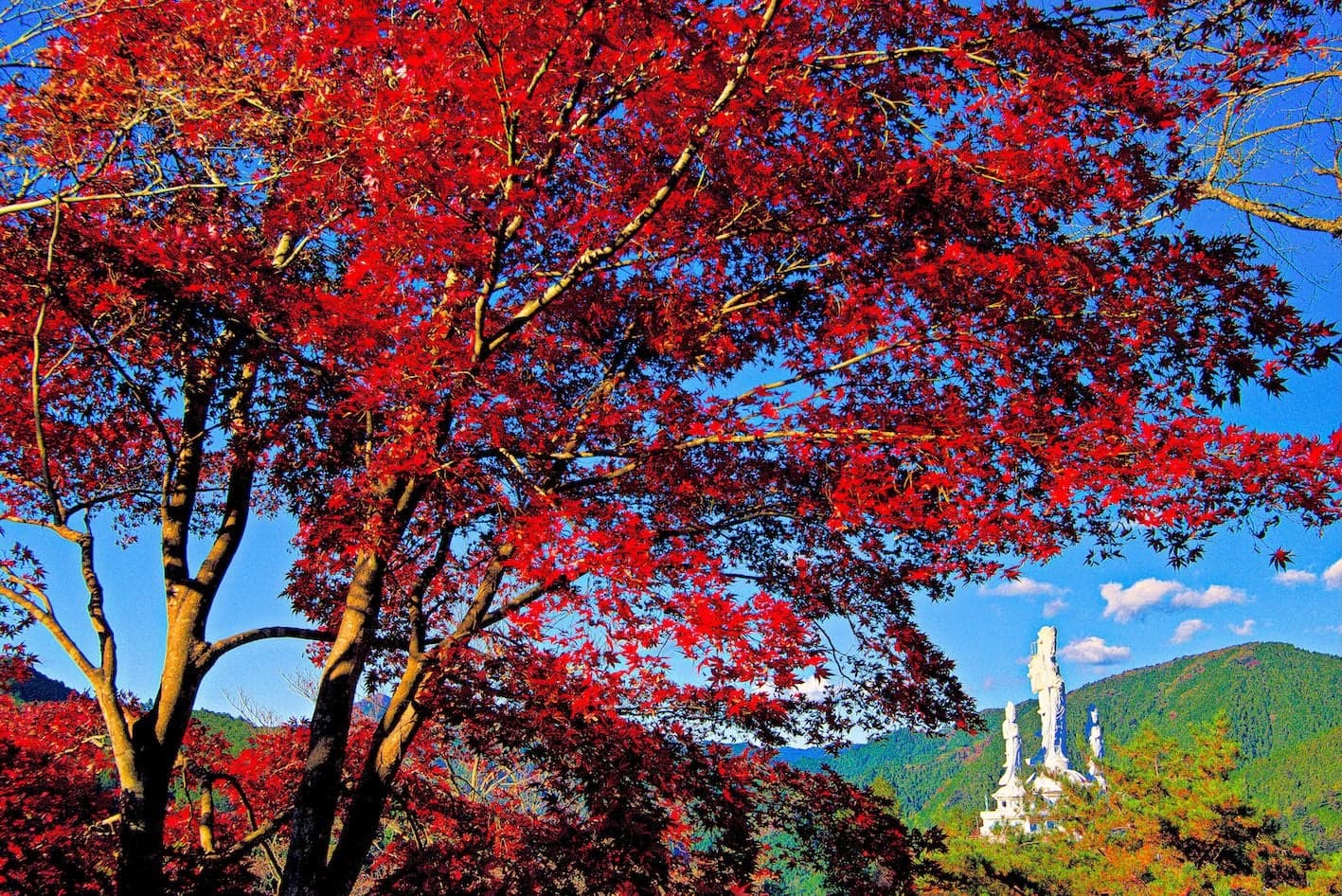 鳥居観音の紅葉