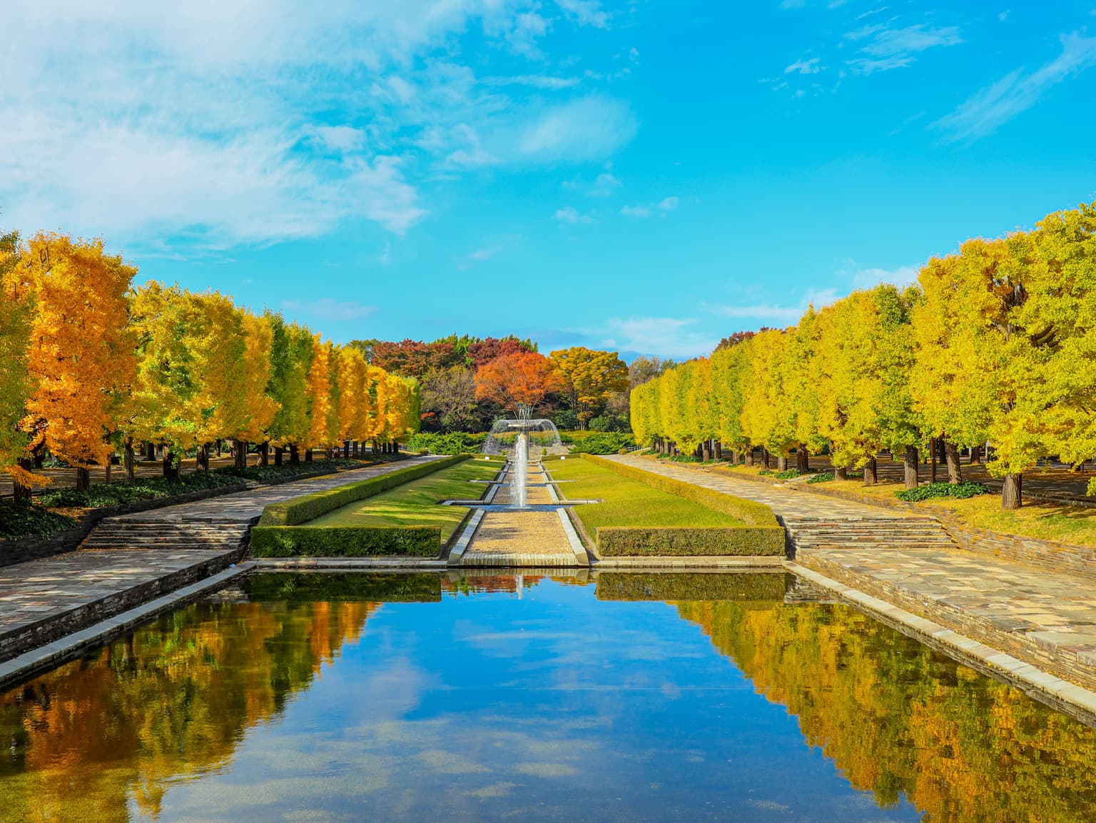 Autumn leaves at Kokuei Showa Memorial Park