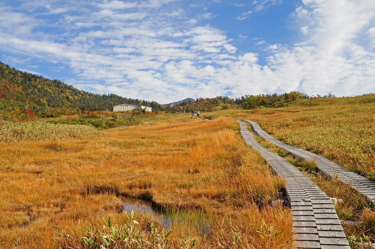 Autumn leaves in Tateyama (Midagahara: around 2,000 m above sea level)