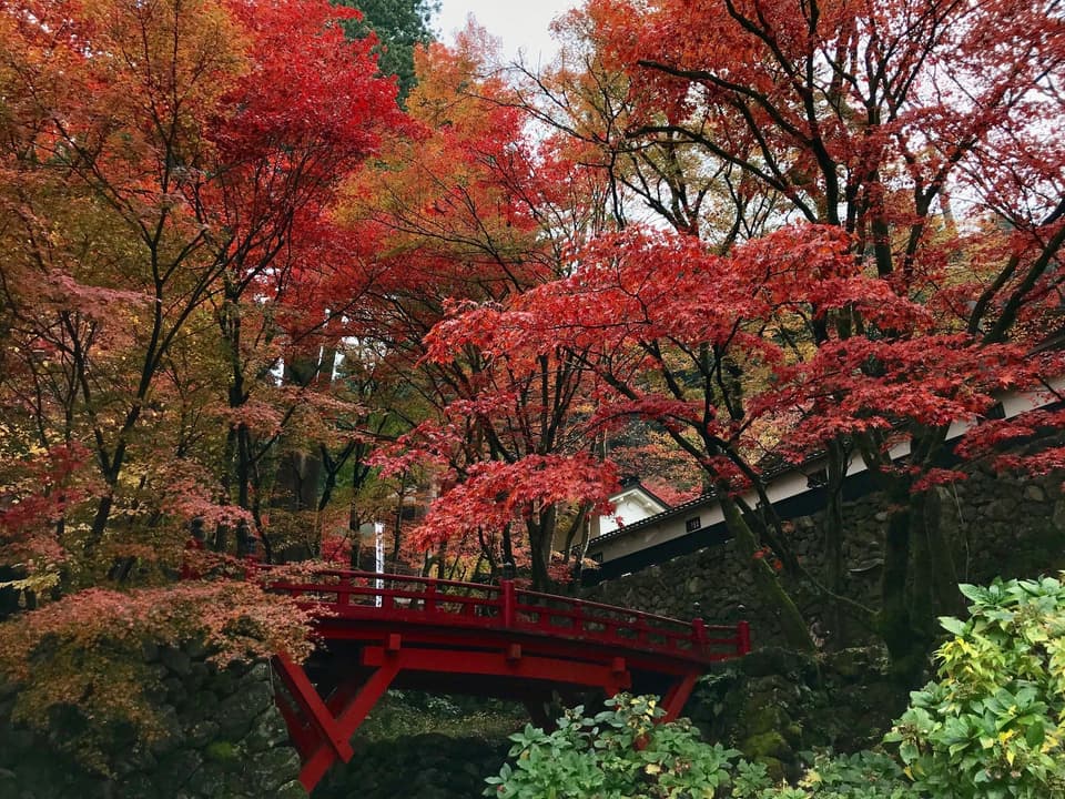 Autumn leaves at Yokozo-ji Temple on Mt. Ryokai