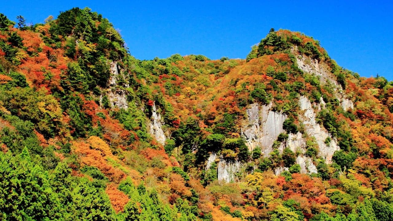Autumn leaves in Korakukei