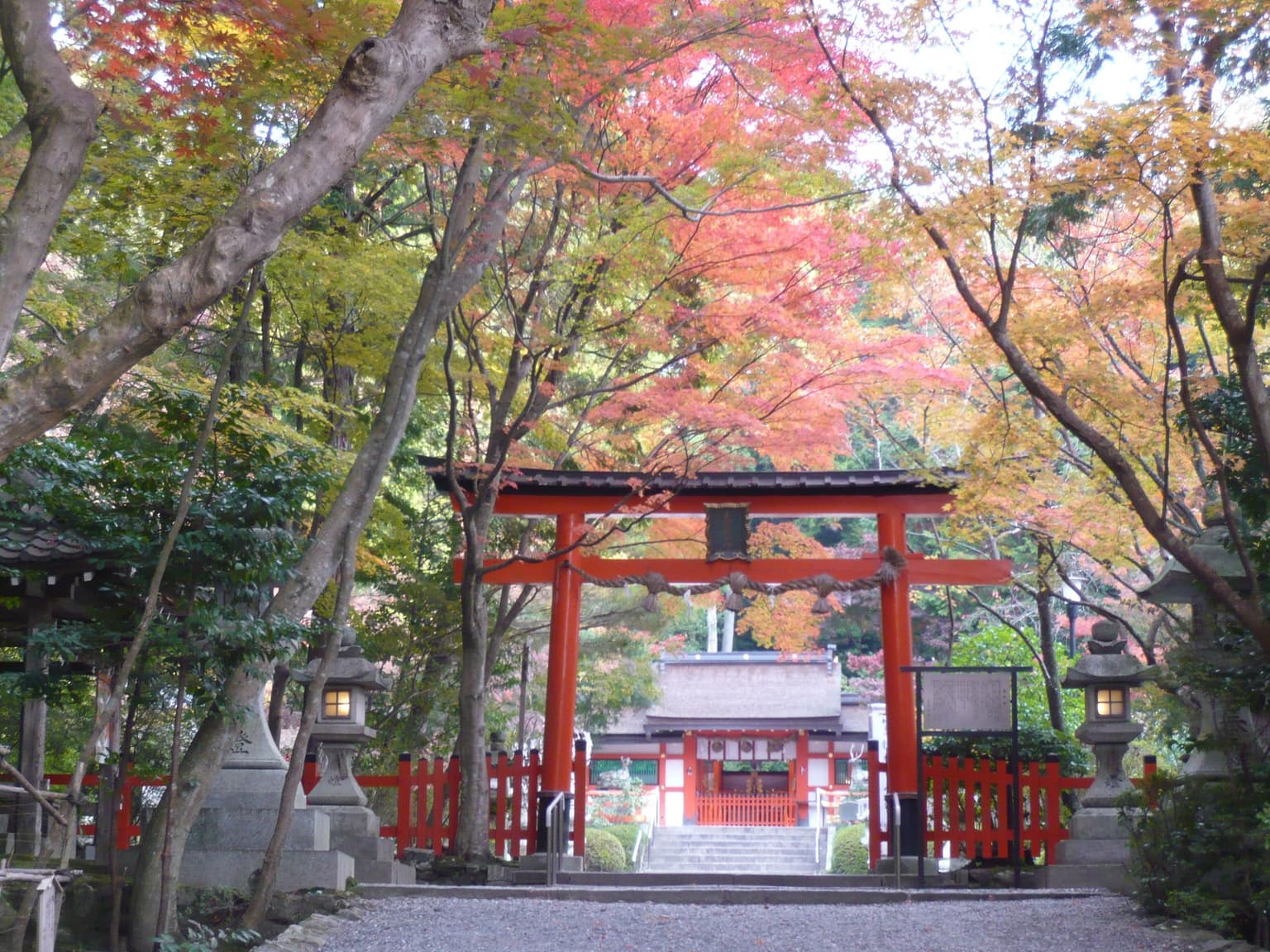 大原野神社の紅葉