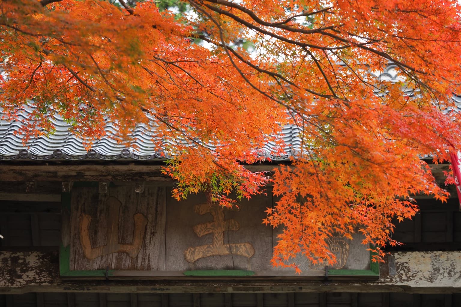 一畑薬師の紅葉