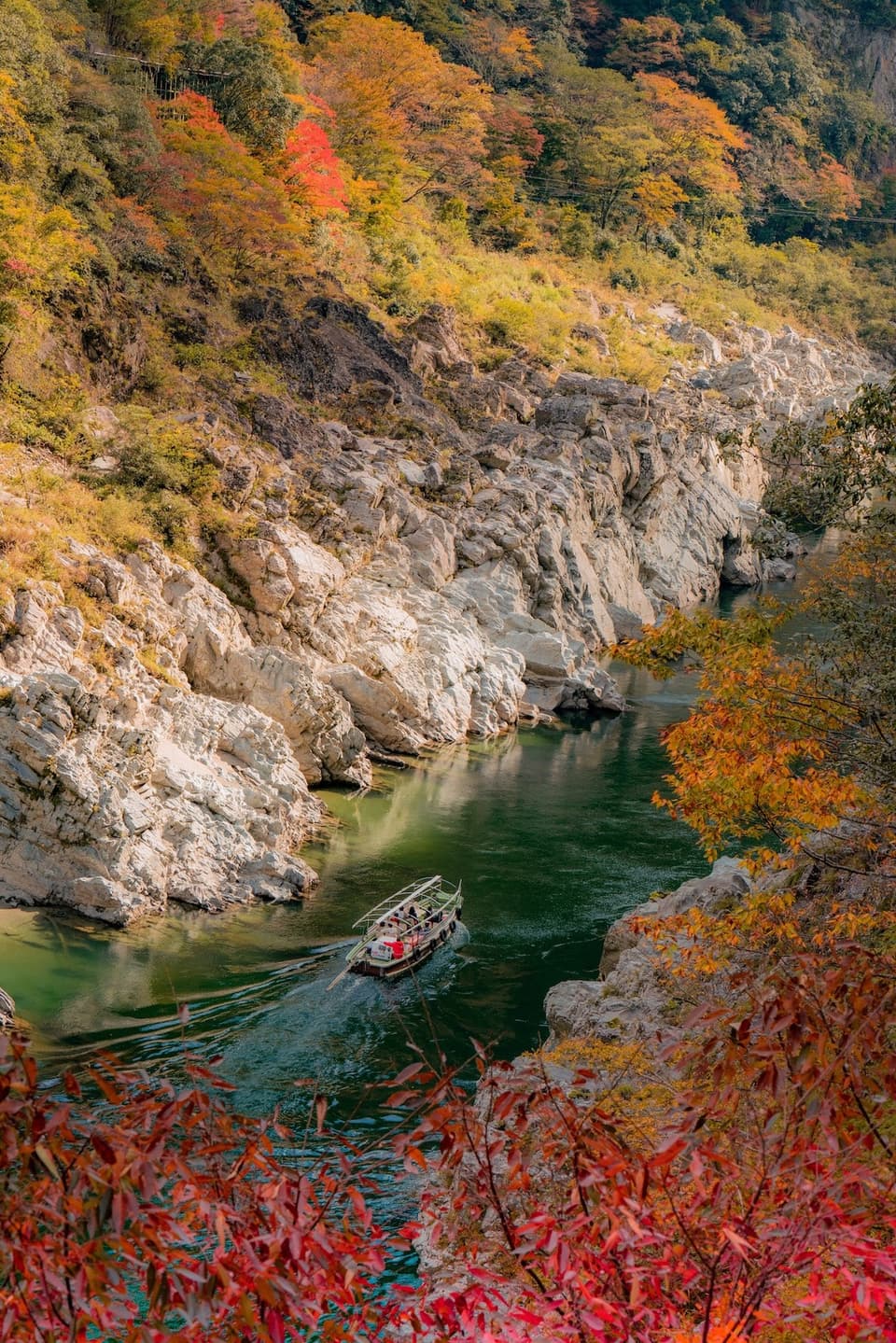 大歩危・小歩危の紅葉