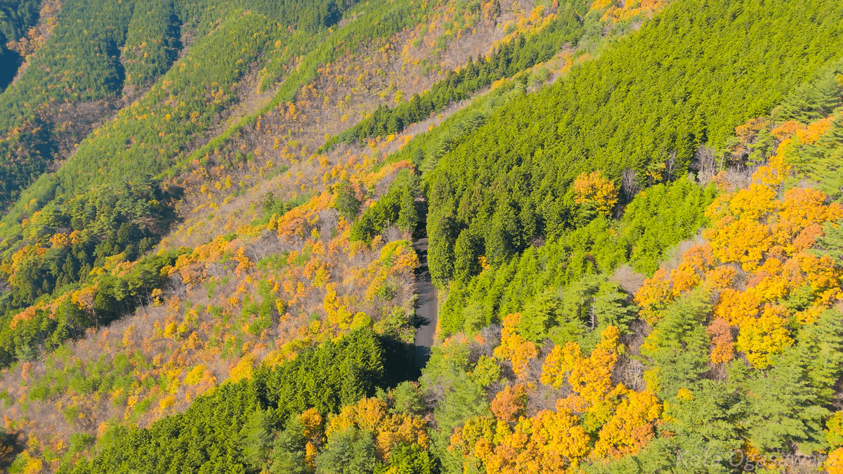 塩江温泉郷の紅葉