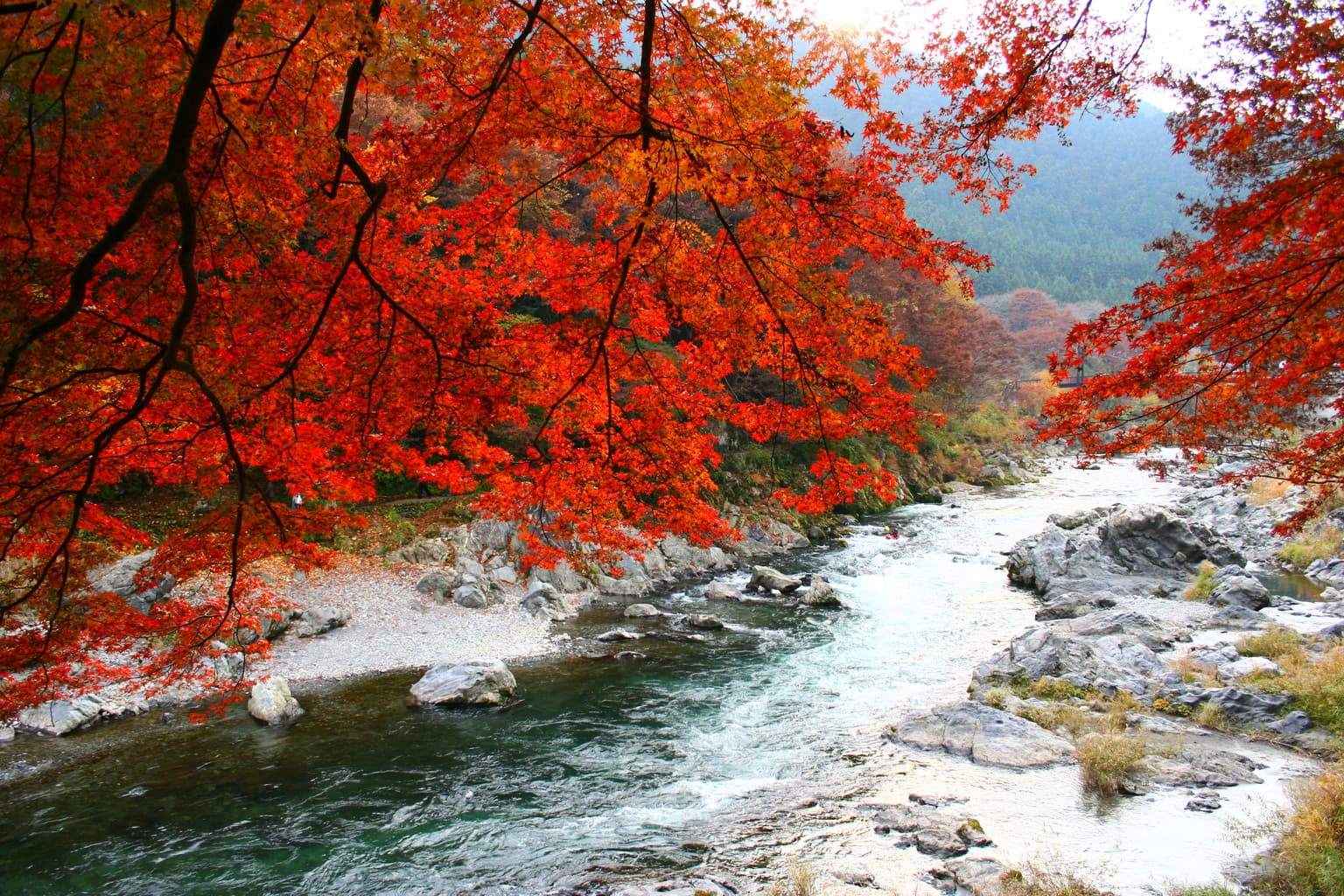 Autumn leaves in Ontake Valley