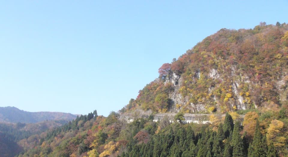 Autumn leaves of Hinotoge