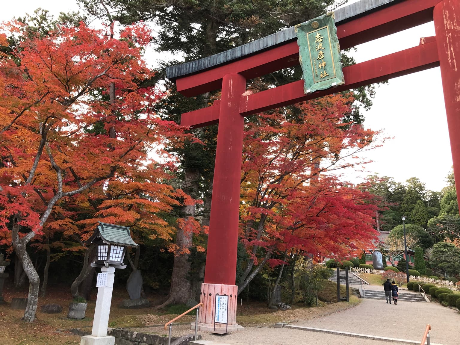 Autumn leaves of Shinamihiko-jinja Shrine and Shiogama-jinja Shrine