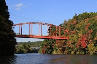 Autumn leaves of Lake Kameyama
