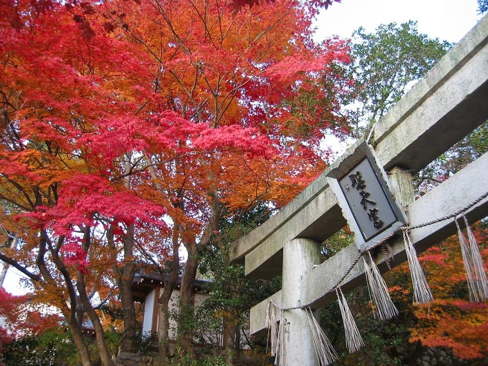 箕面(西江寺)の紅葉