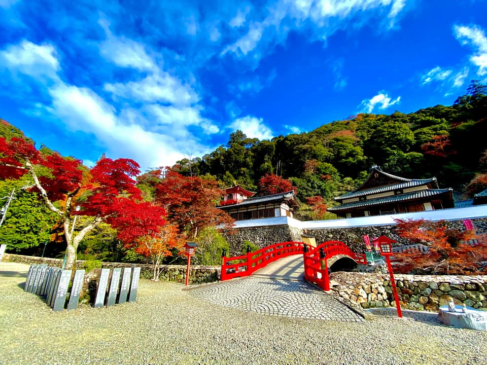 箕面(瀧安寺)の紅葉