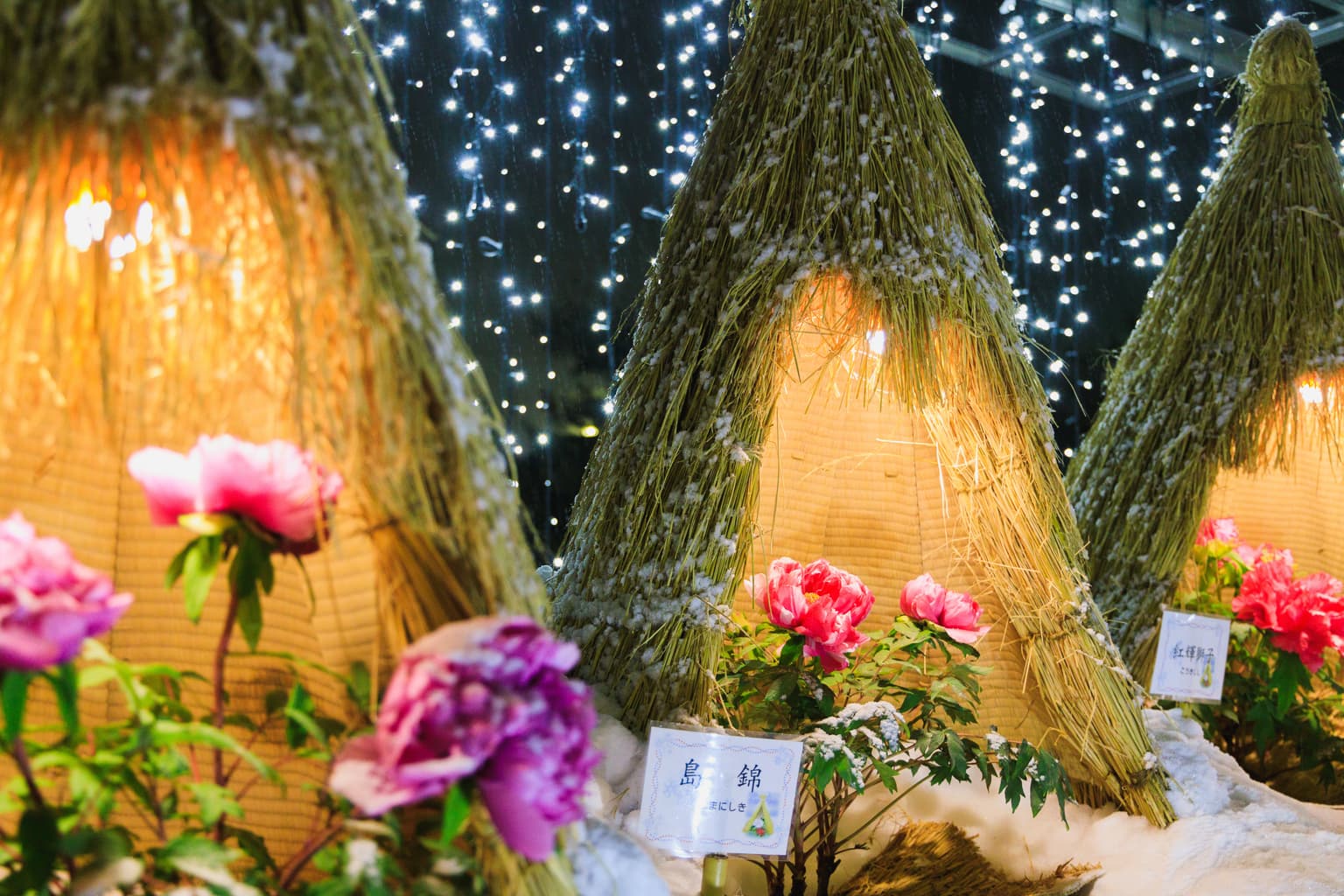 Botan Festival Stage