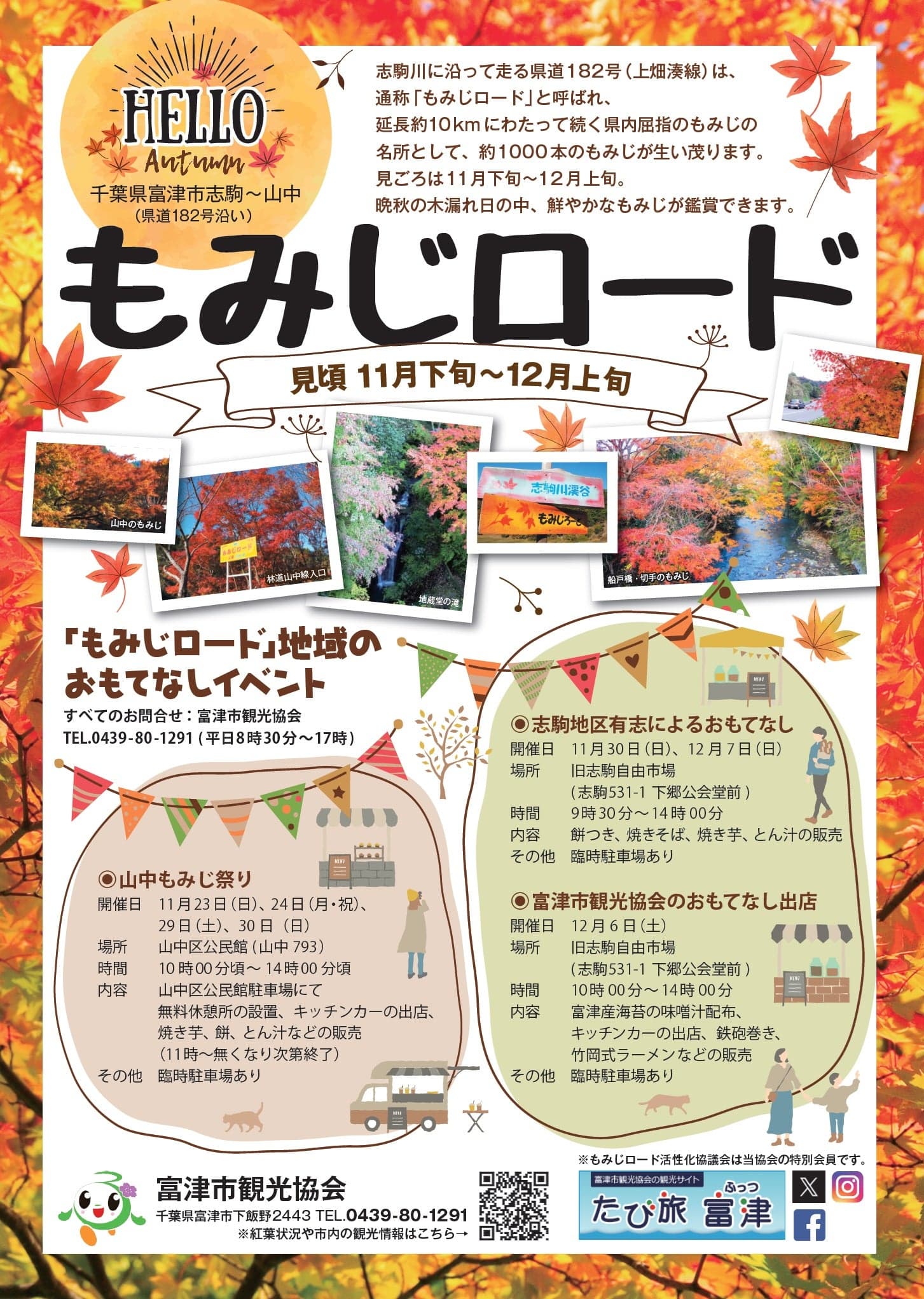 Momiji Road 2025 Brochure Table