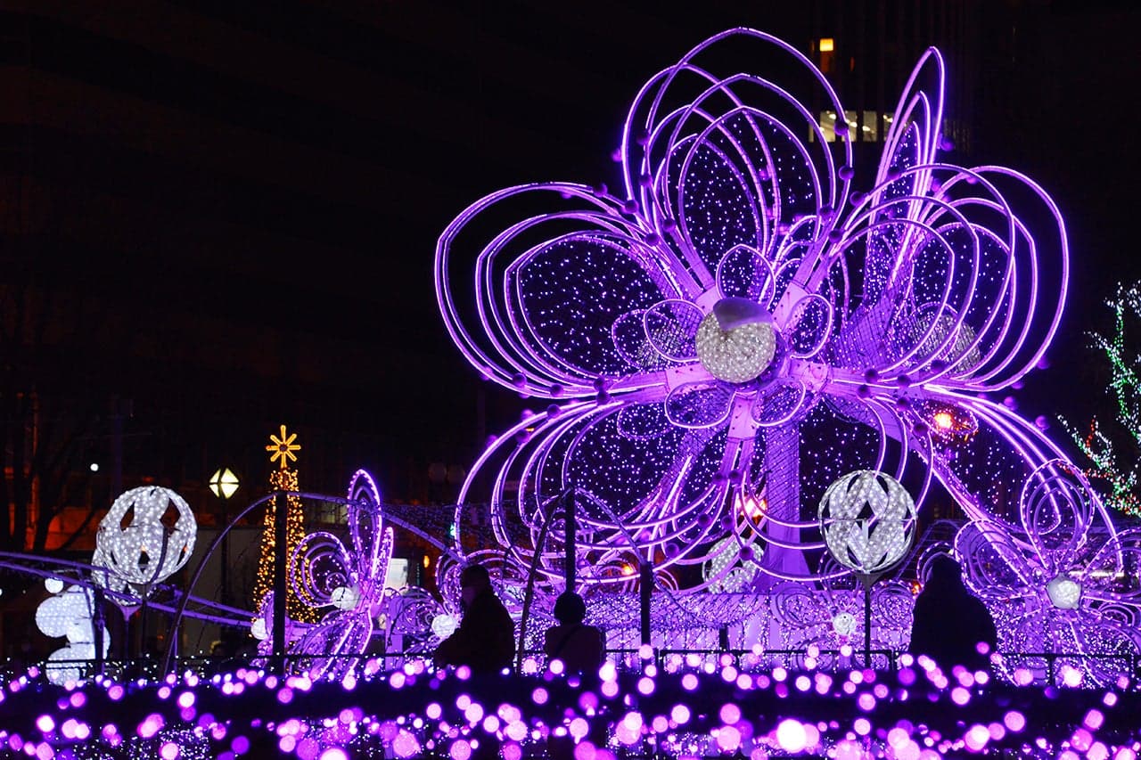 2024 Sapporo White Illumination (44th)