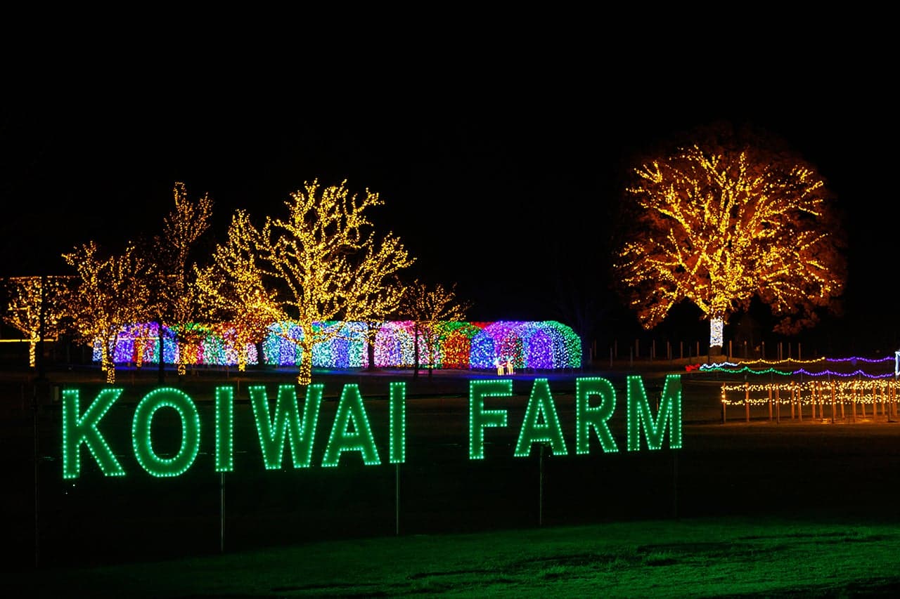KOIWAI Winter Lights Night at Galactic Farm 2024