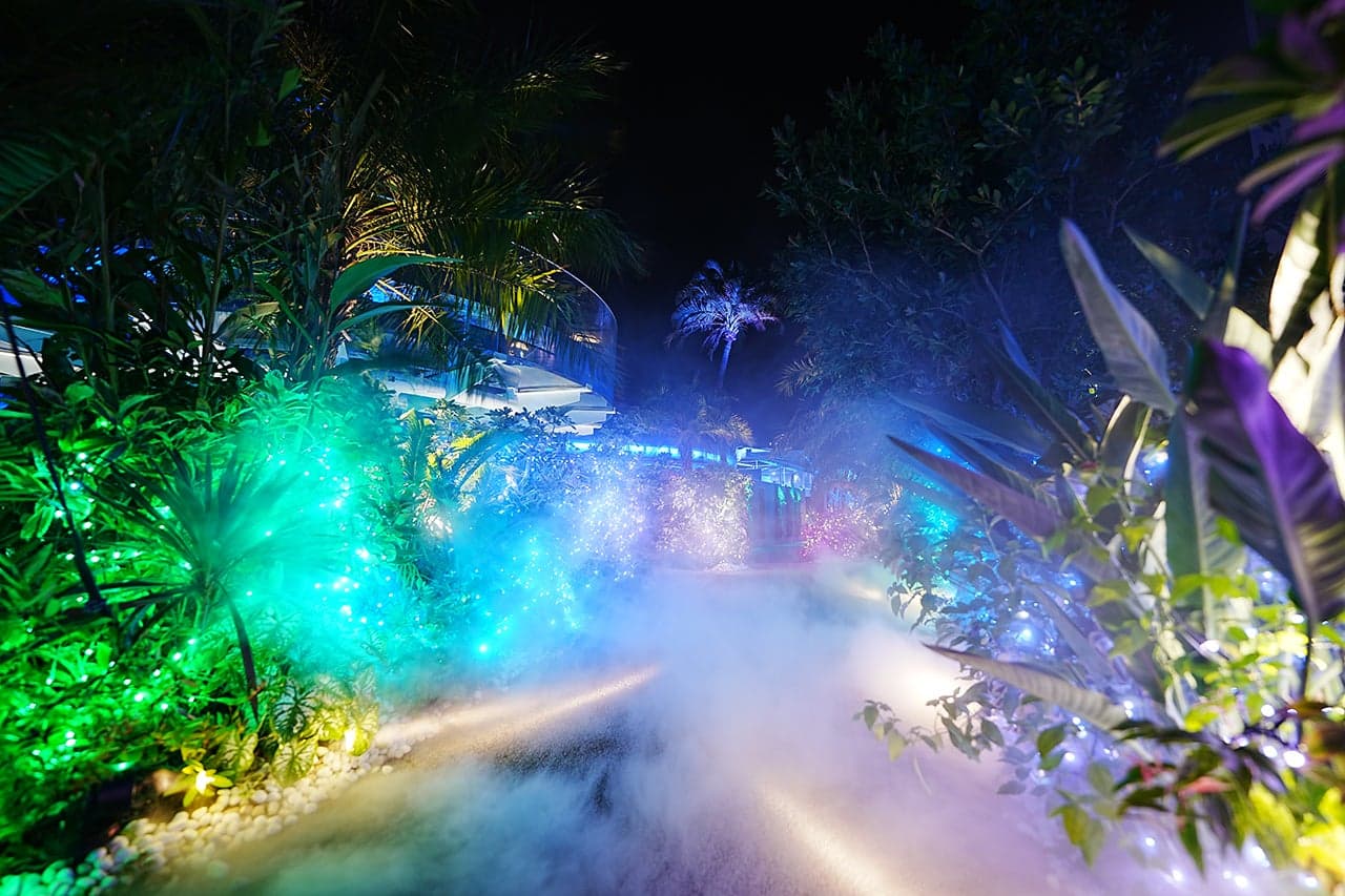 Sunshine Aquarium Mullingar Den